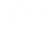 SCI Global — Wave